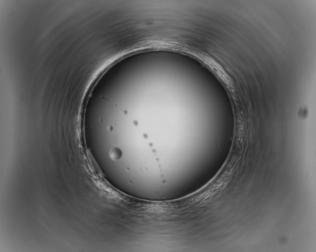 X0000101210904200806271412