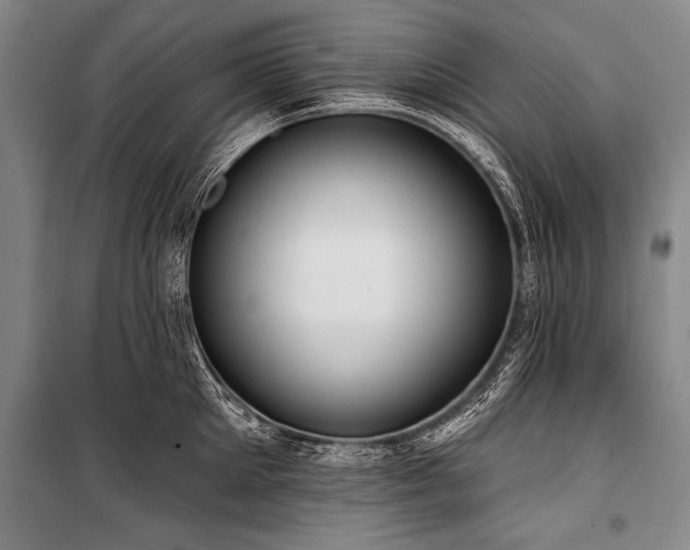 X0000101210905200806271412