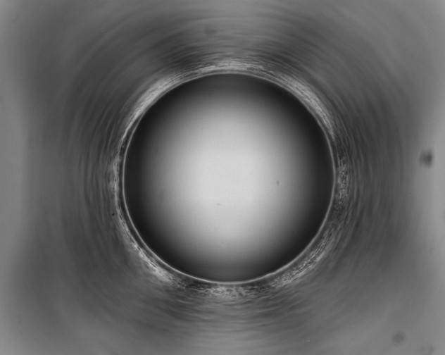 X0000101210906200806271412