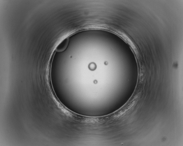 X0000101210909200806271412