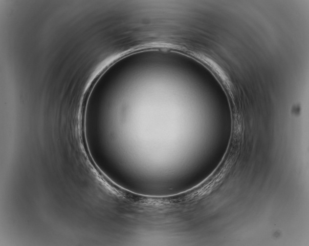 X0000101210910200806271412