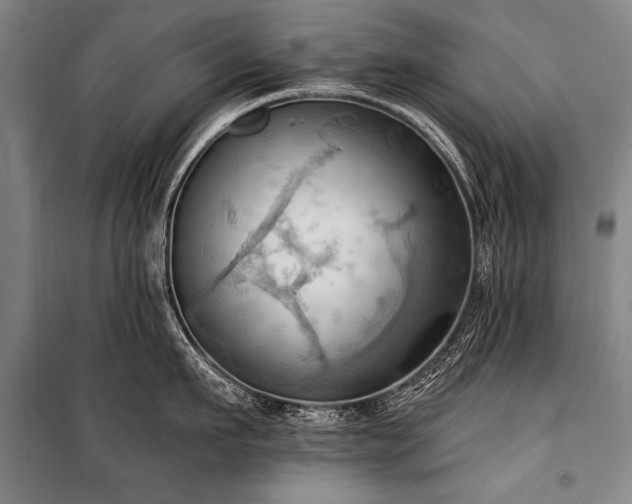 X0000101210911200806271412