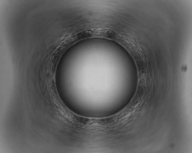 X0000101210913200806271411