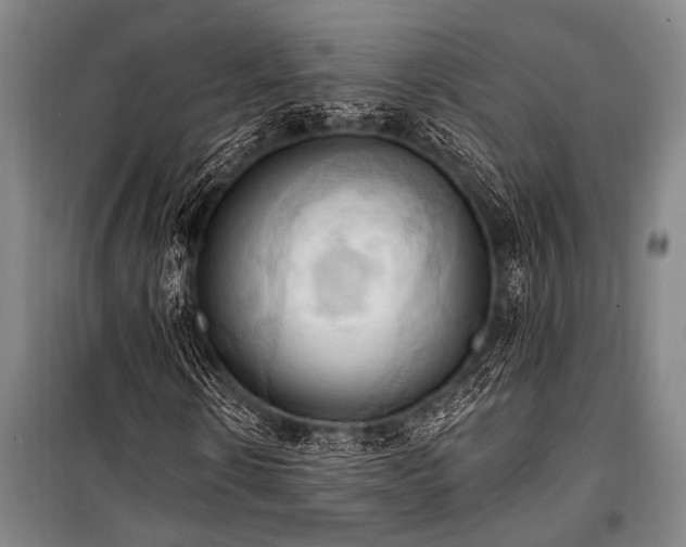 X0000101210914200806271411