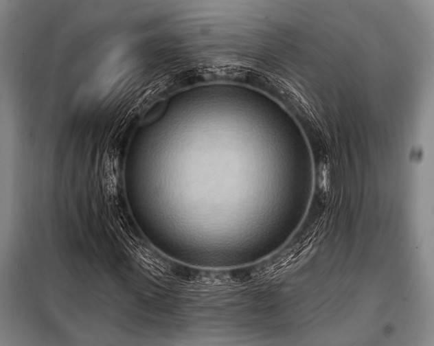X0000101210915200806271411