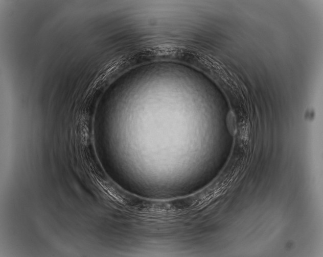 X0000101210916200806271411