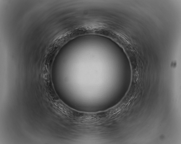 X0000101210917200806271411