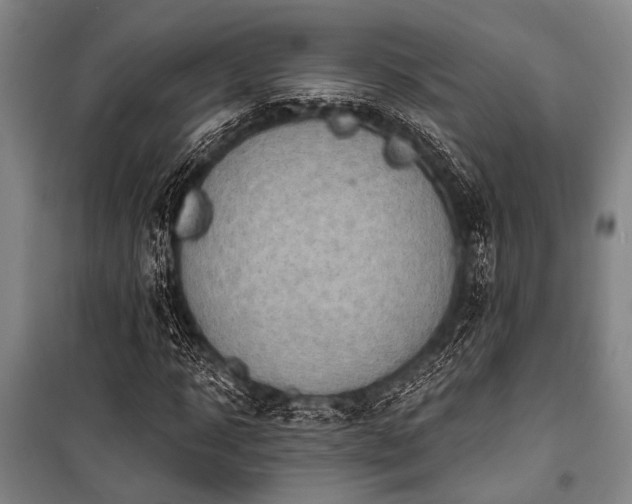 X0000101210918200806271411