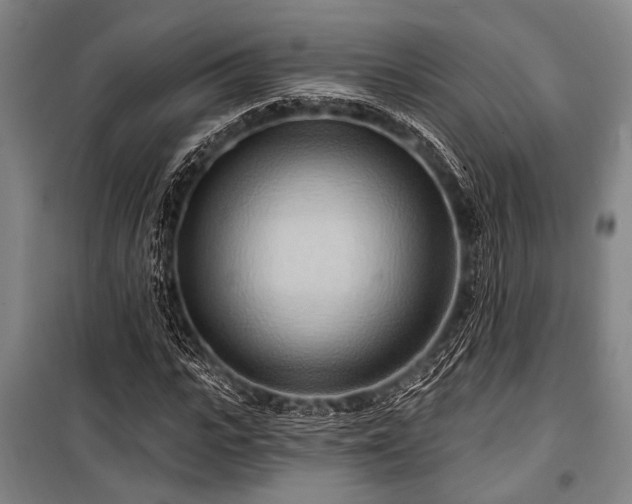 X0000101210919200806271411