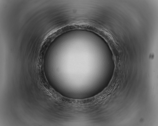 X0000101210920200806271411
