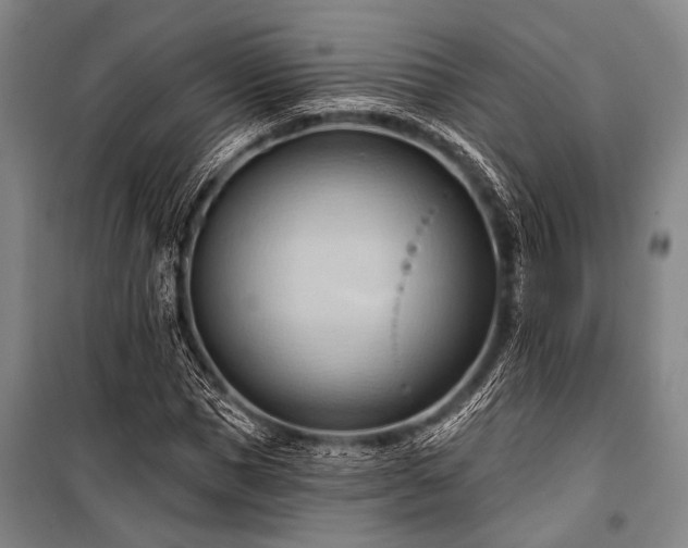 X0000101210921200806271411