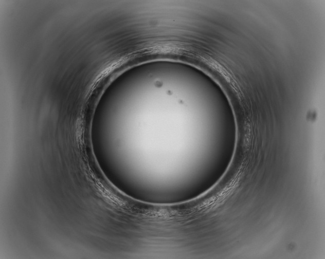X0000101210922200806271411