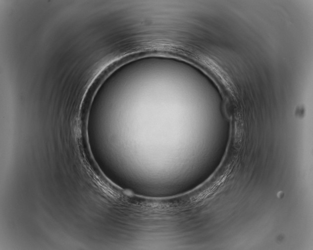 X0000101210924200806271411