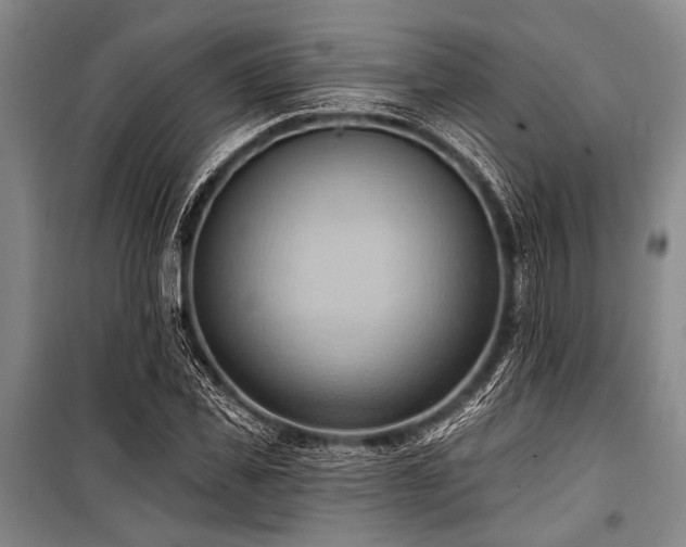 X0000101210925200806271411