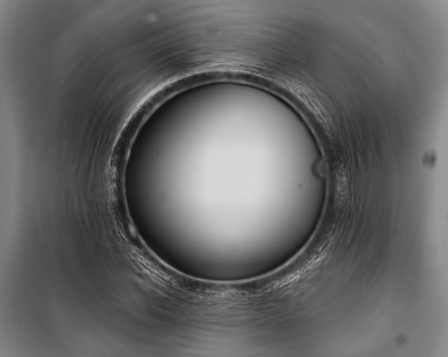 X0000101210926200806271411