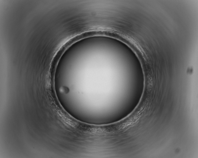 X0000101210927200806271411