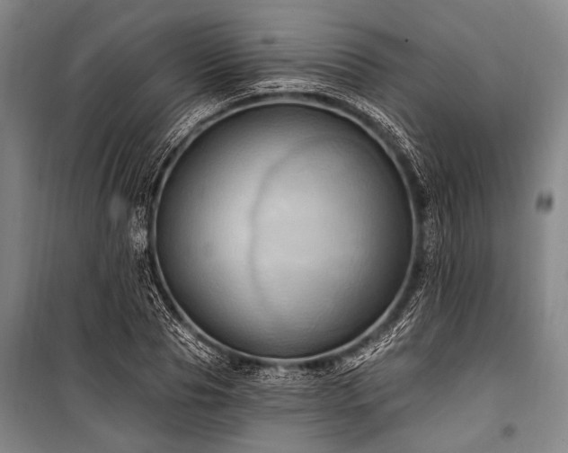 X0000101210929200806271411