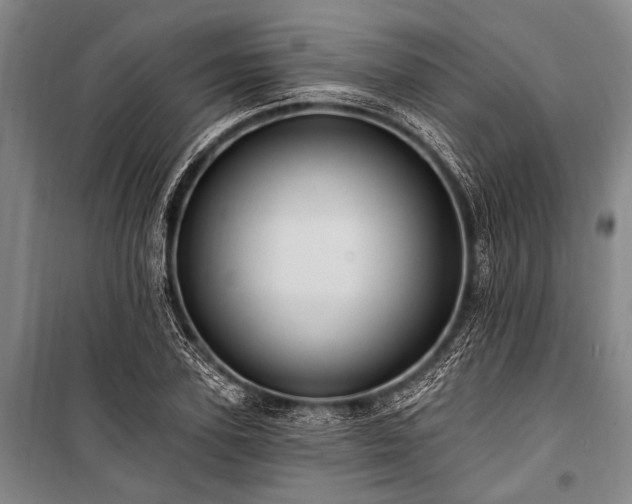 X0000101210931200806271411