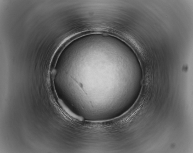 X0000101210932200806271411