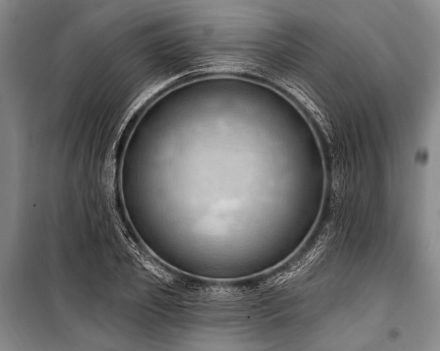 X0000101210933200806271411
