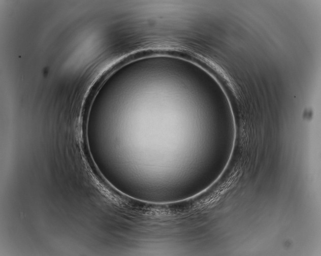 X0000101210935200806271411