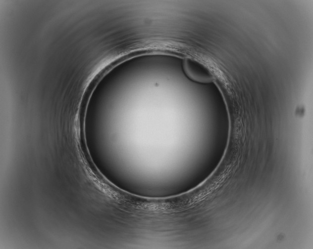 X0000101210936200806271411