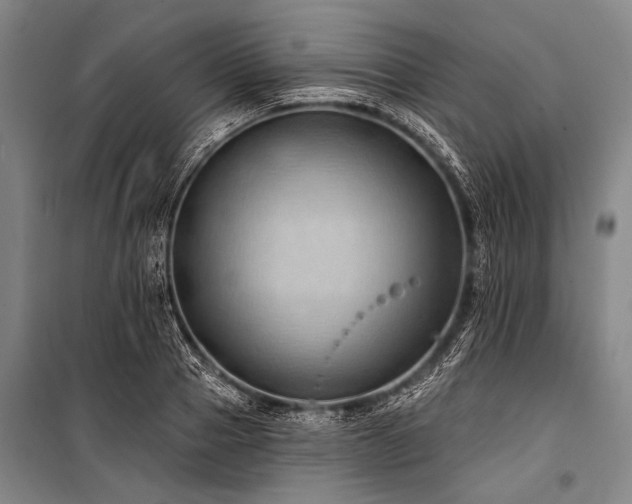 X0000101210937200806271411