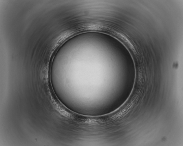 X0000101210938200806271411