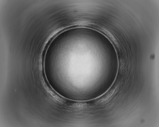X0000101210939200806271411