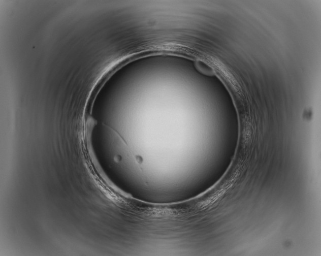 X0000101210940200806271411
