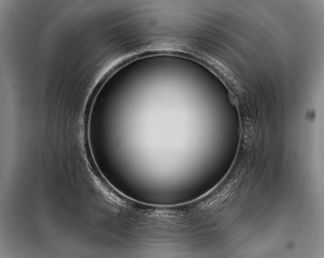 X0000101210942200806271411