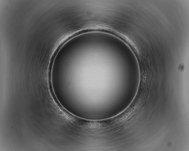 X0000101210943200806271411