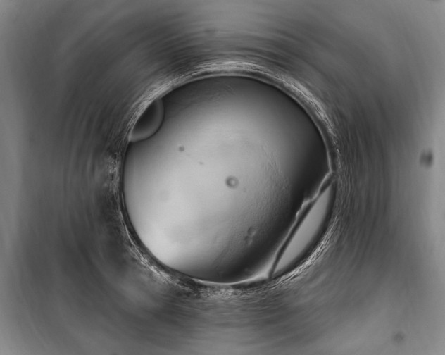 X0000101210945200806271411