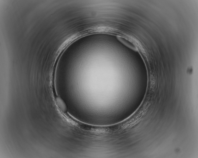 X0000101210946200806271411
