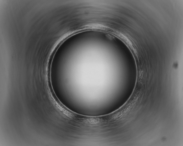 X0000101210947200806271411
