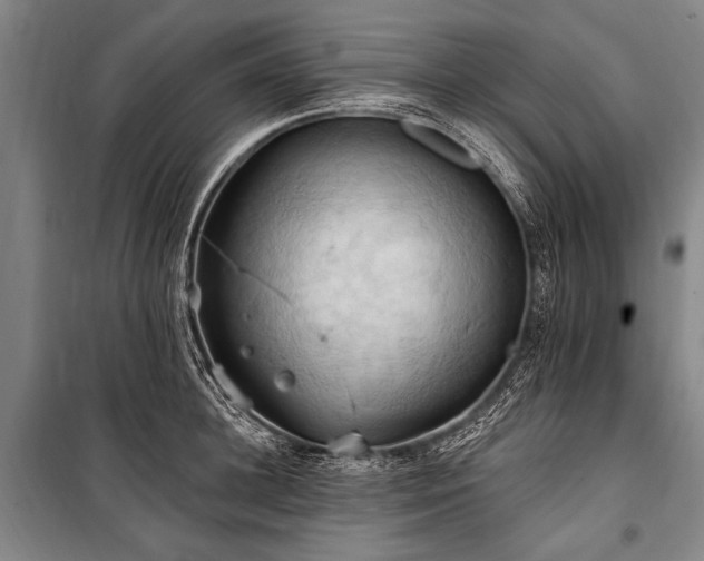 X0000101210948200806271411