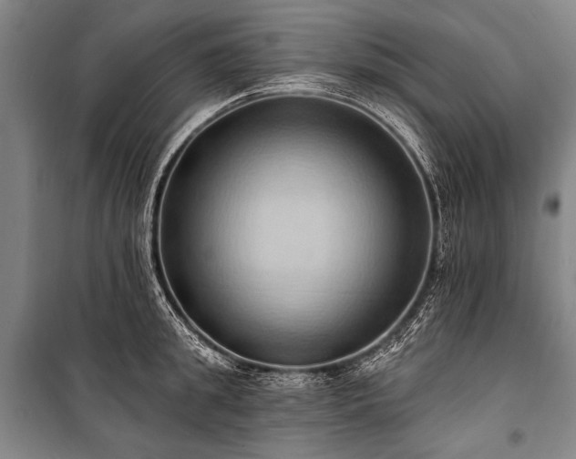 X0000101210949200806271411