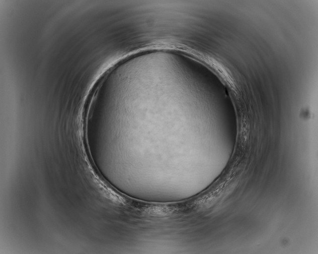 X0000101210950200806271411