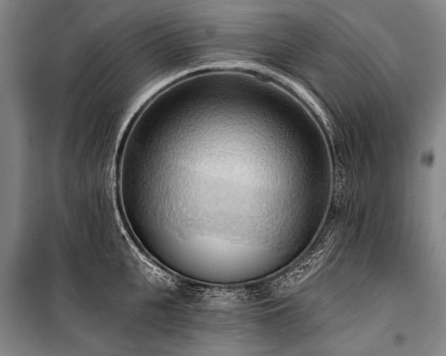 X0000101210951200806271411