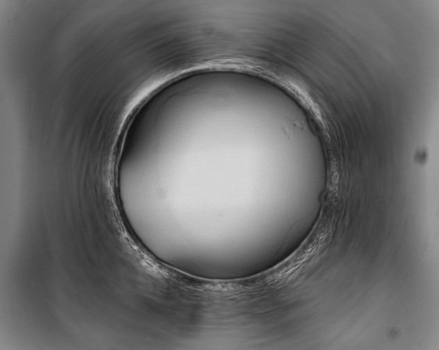 X0000101210952200806271411