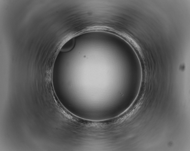 X0000101210953200806271411