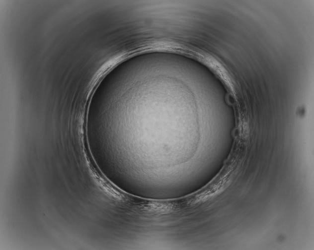 X0000101210954200806271411