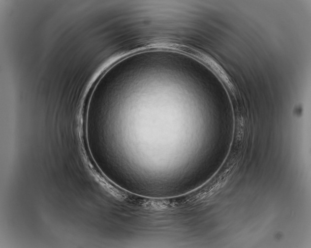 X0000101210955200806271411