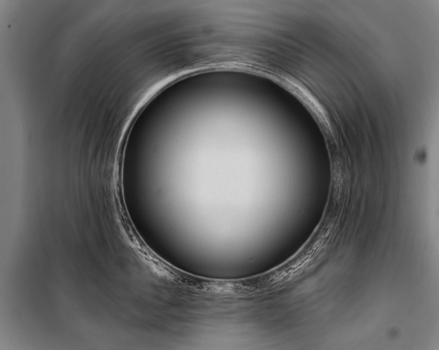 X0000101210956200806271411