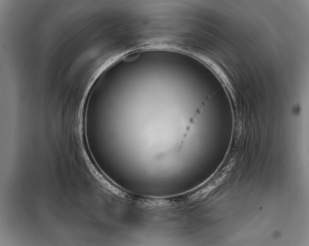 X0000101210957200806271412