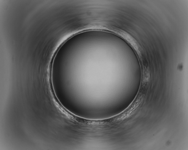 X0000101210958200806271412