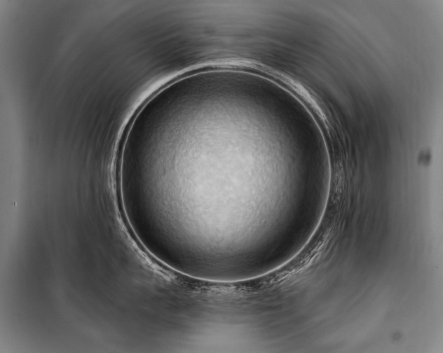 X0000101210959200806271412