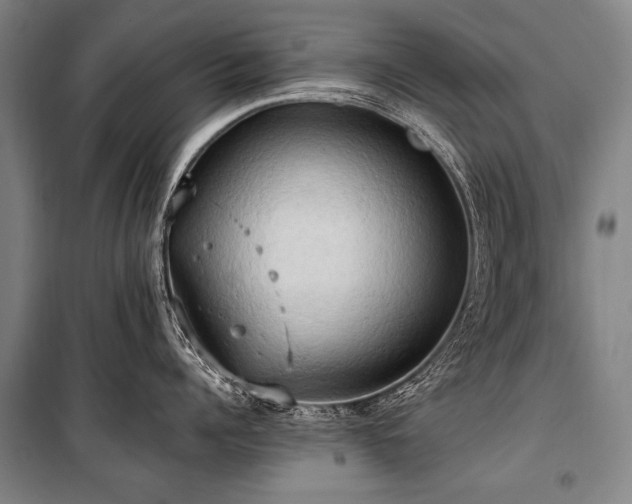 X0000101210960200806271412