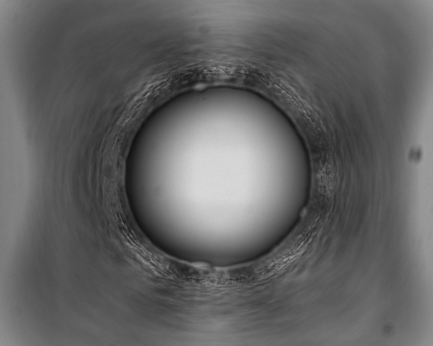 X0000101210961200806271411