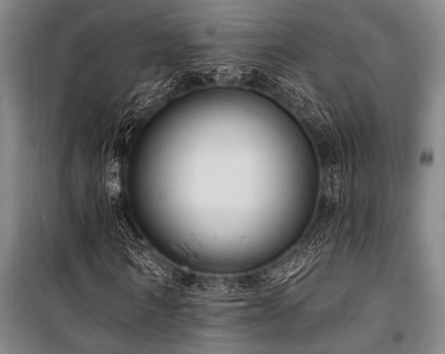 X0000101210962200806271411